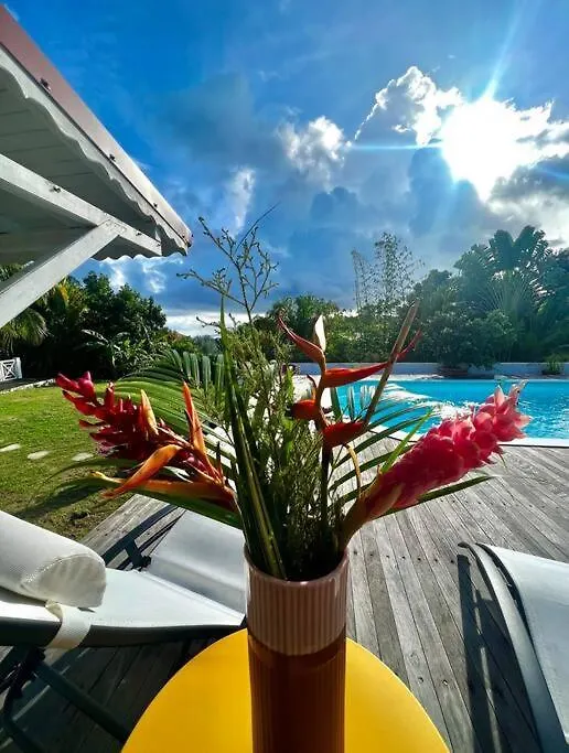 Spacieuse Villa Corossol Avec Piscine Et Jeux Exterieurs Le Gosier  Guadeloupe